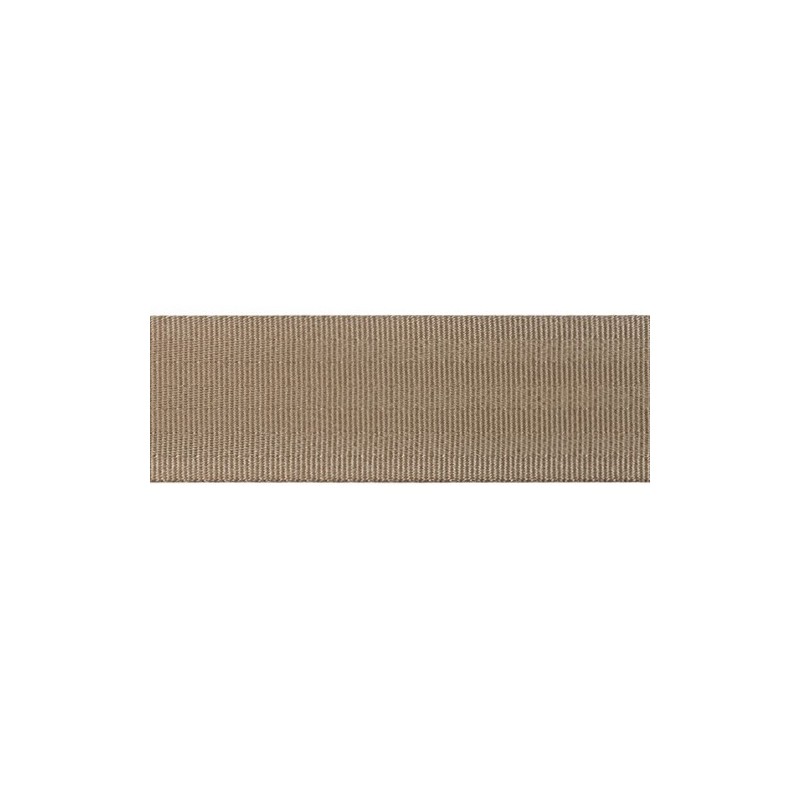 Beige Seat Belt Webbing